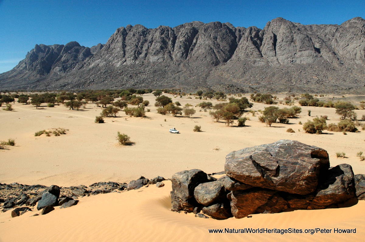 Air and Ténéré Natural Reserves